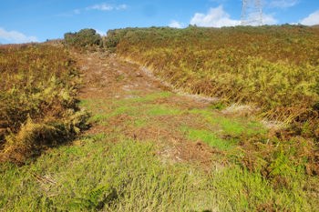 Thumbnail for 'Diarmid speaking at our bracken management webinar in Nov 25' page