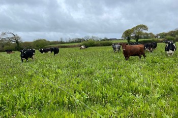 Thumbnail for 'Andrew Brewer and the field lab are featured in the Future of Food exhibition at the Science Museum' page
