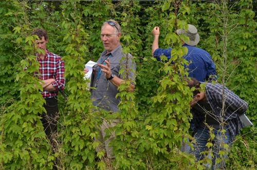 Group visiting the hops