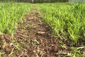 Thumbnail for 'Andy Dibben's trial update video - part 2 - link to Youtube' page