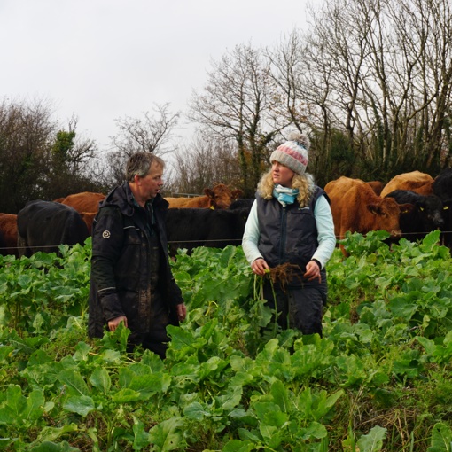 Thumbnail for 'Film: Livestock Farmers Finding Alternatives To Monoculture Fodder Crops' page