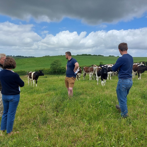 Thumbnail for 'Quality of on-farm data critical in developing new pasture management tool' page