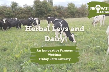 Thumbnail for 'Herbal Leys and Dairy Webinar' page