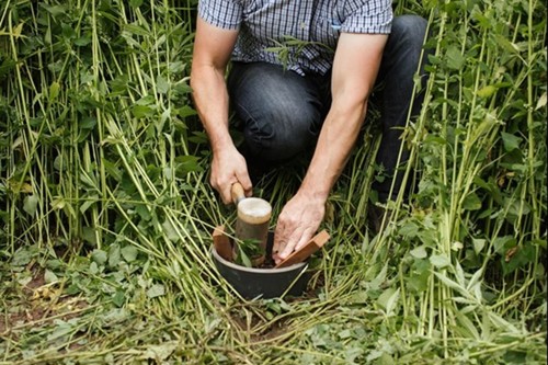 Man hammers water filtration testing into field of hemp