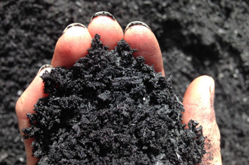 Thumbnail for 'https://thedirt.news/soil-association-launches-horticultural-biochar-trial/' page