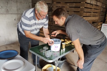 Thumbnail for 'Article: how to manage wireworm risk on your farm' page