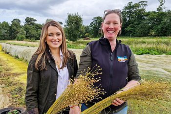 Thumbnail for 'Flax harvest on BBC Landward' page