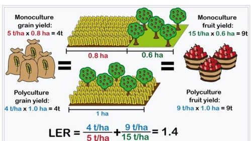 Land Equivalent Ratio (LER)