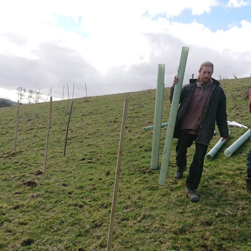 Thumbnail for 'Why Farmers Are Researching Silvopasture Design - A Film Series' page