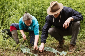 Thumbnail for 'Best Practice Guidelines for growing hemp' page