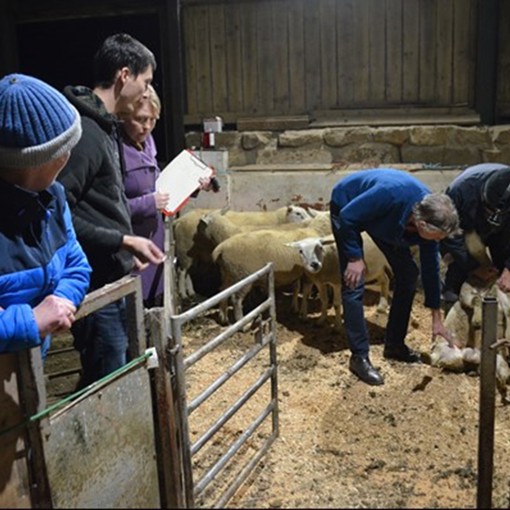 Thumbnail for 'Engineering farmers into engineering' page