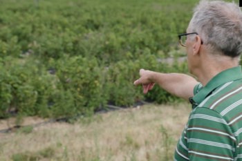 Thumbnail for 'Farmer film: farmer led solutions to on-farm plastic' page