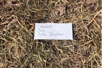 Thumbnail for 'How to optimise your compost management' page